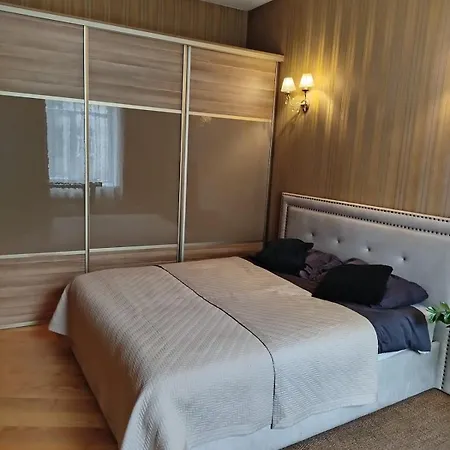 Cozy Downtown 公寓 里加